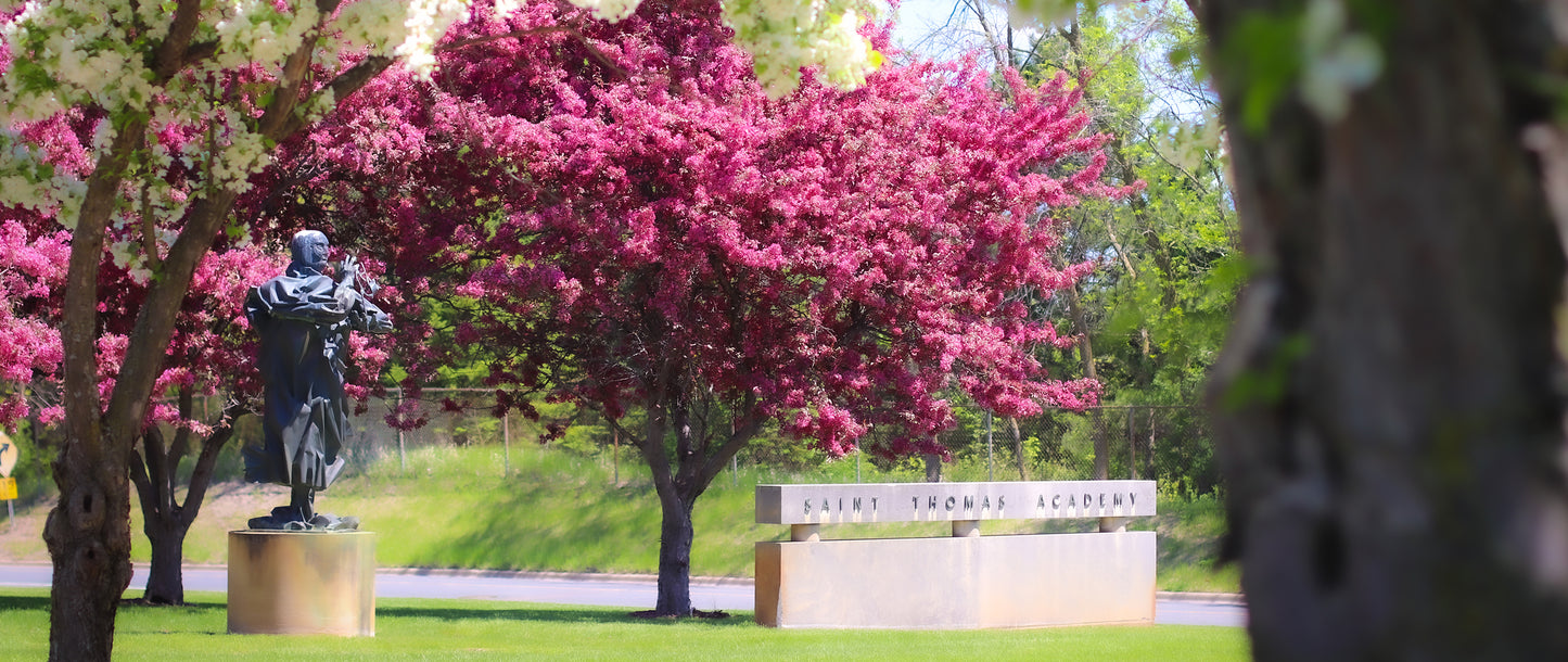 Spring in The Quad